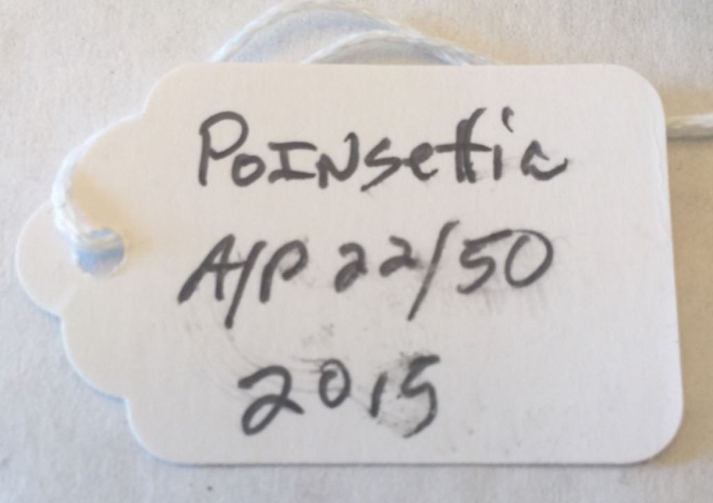 Poinsettia - Tim Cotterill art collectible - Main Image 2