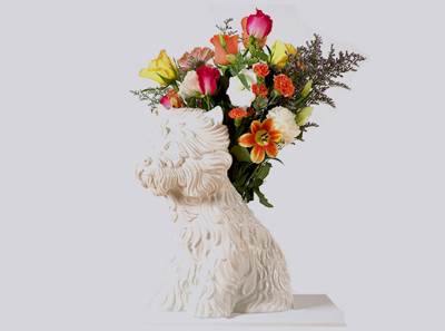 Ya Ves Que Estoy Reducido A Mucho