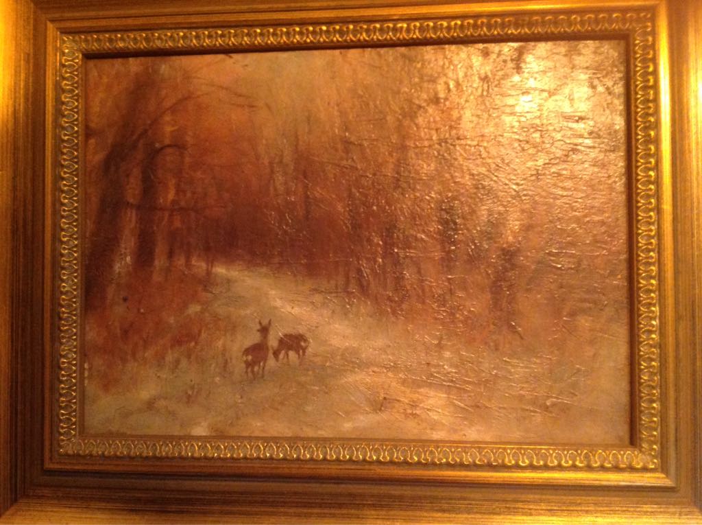 Still Life With African Nymphalidae