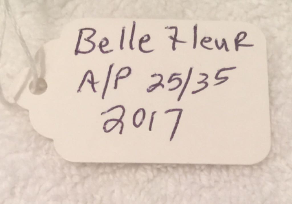 Belle Fleur - Tim Cotterill art collectible - Main Image 2