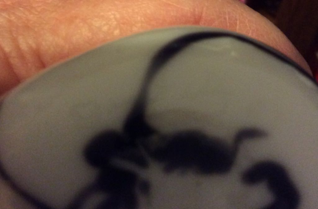 Bear - Dave Fetty art collectible - Main Image 2