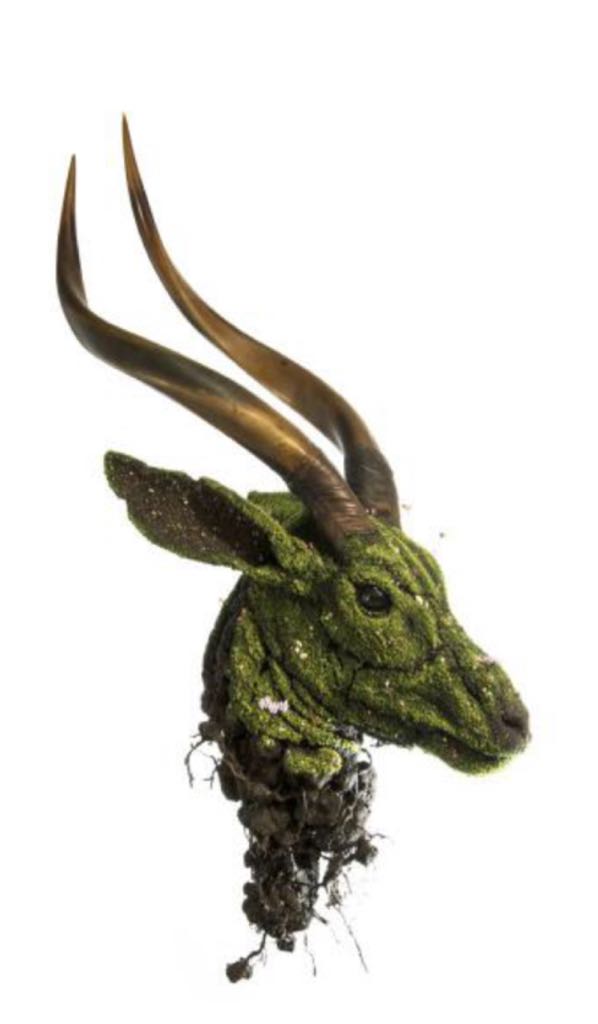 Image 11376