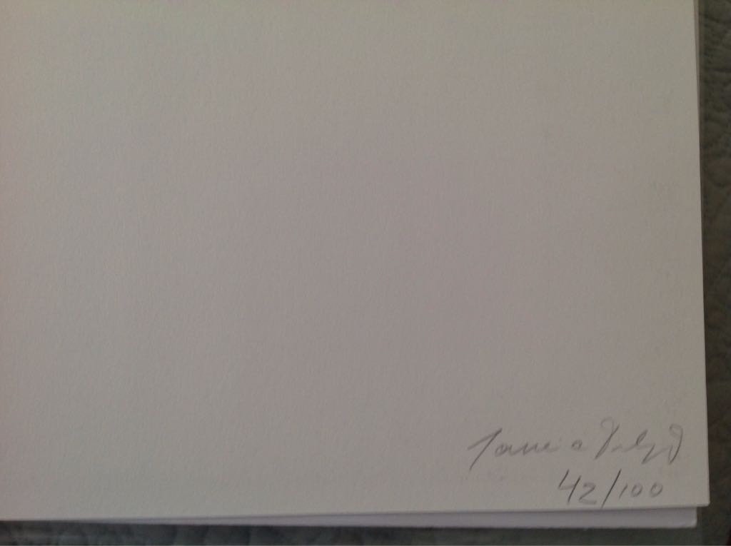 S/titulo - Janaina Tschape art collectible - Main Image 2