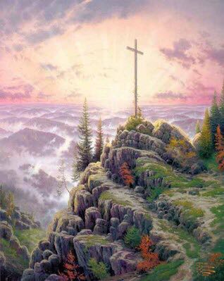 Cardinal  Richmondena cardinalis