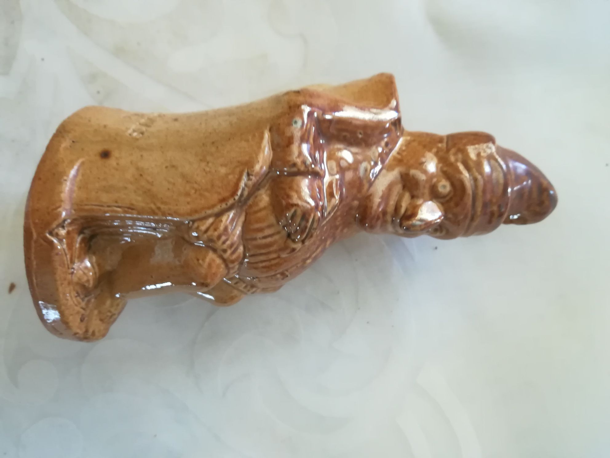 Corona Extra Beer Bottle