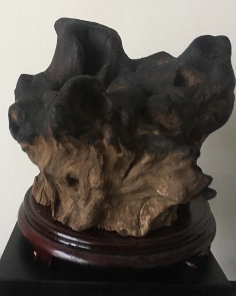 Star Trek 25th Anniversary Marathon