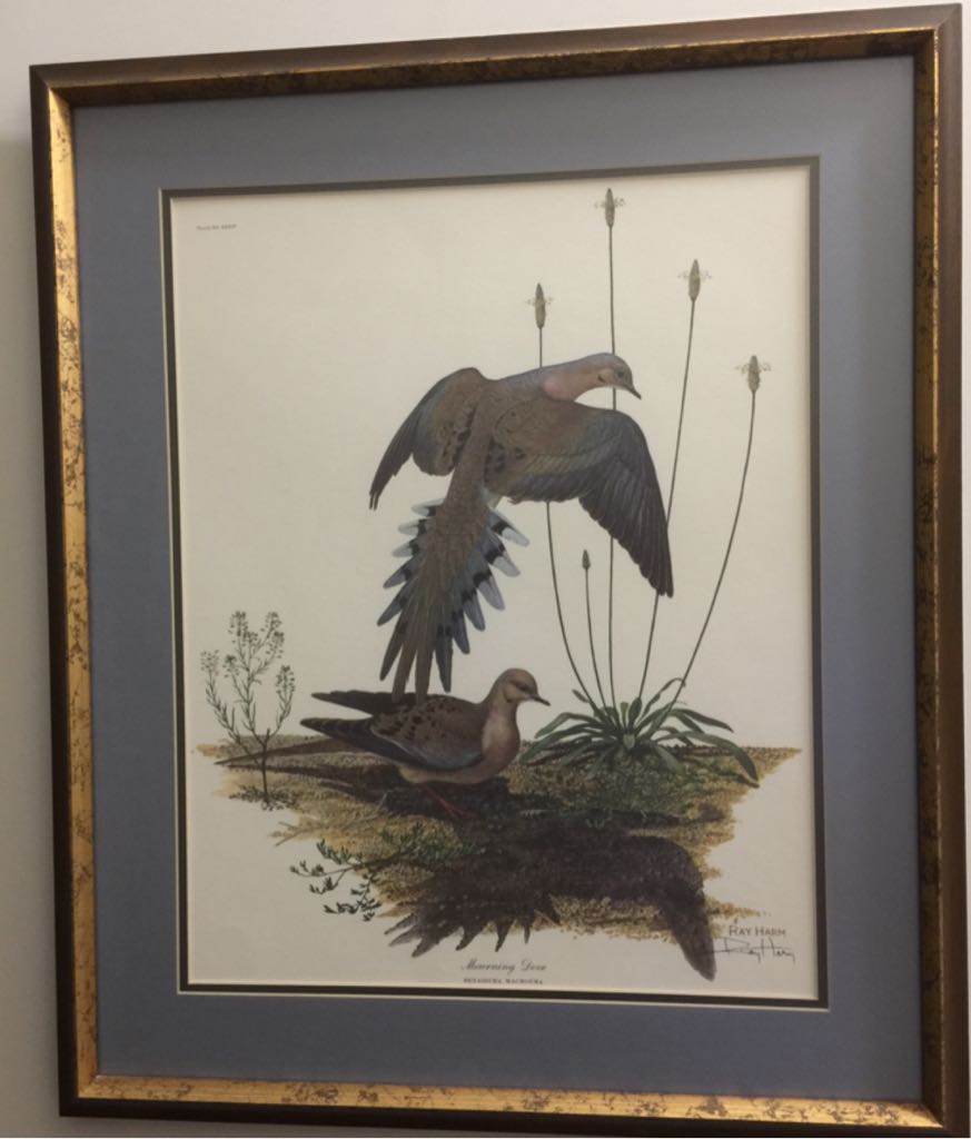 Coca Cola Bottle Cap