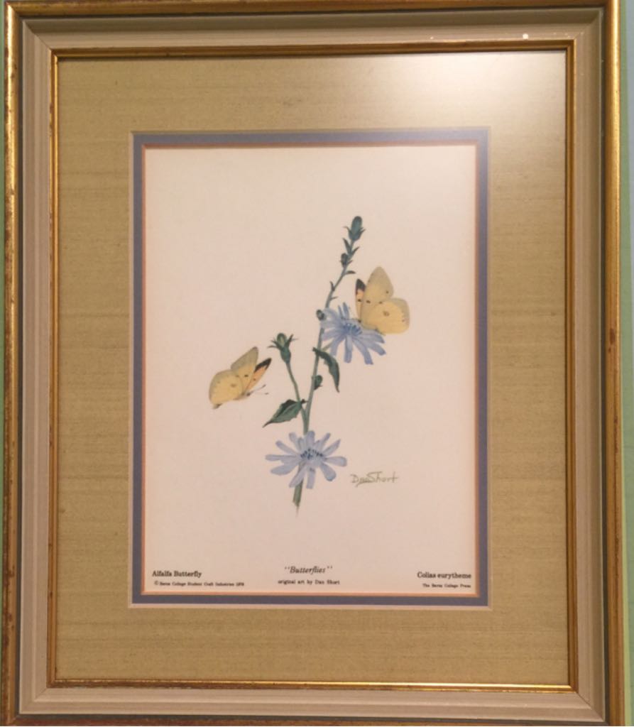 Sll SoCsl Is A Stage