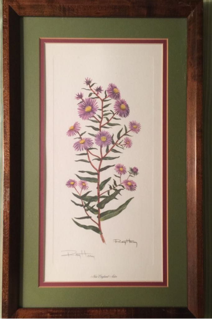 New England Aster - Ray Harm art collectible - Main Image 1