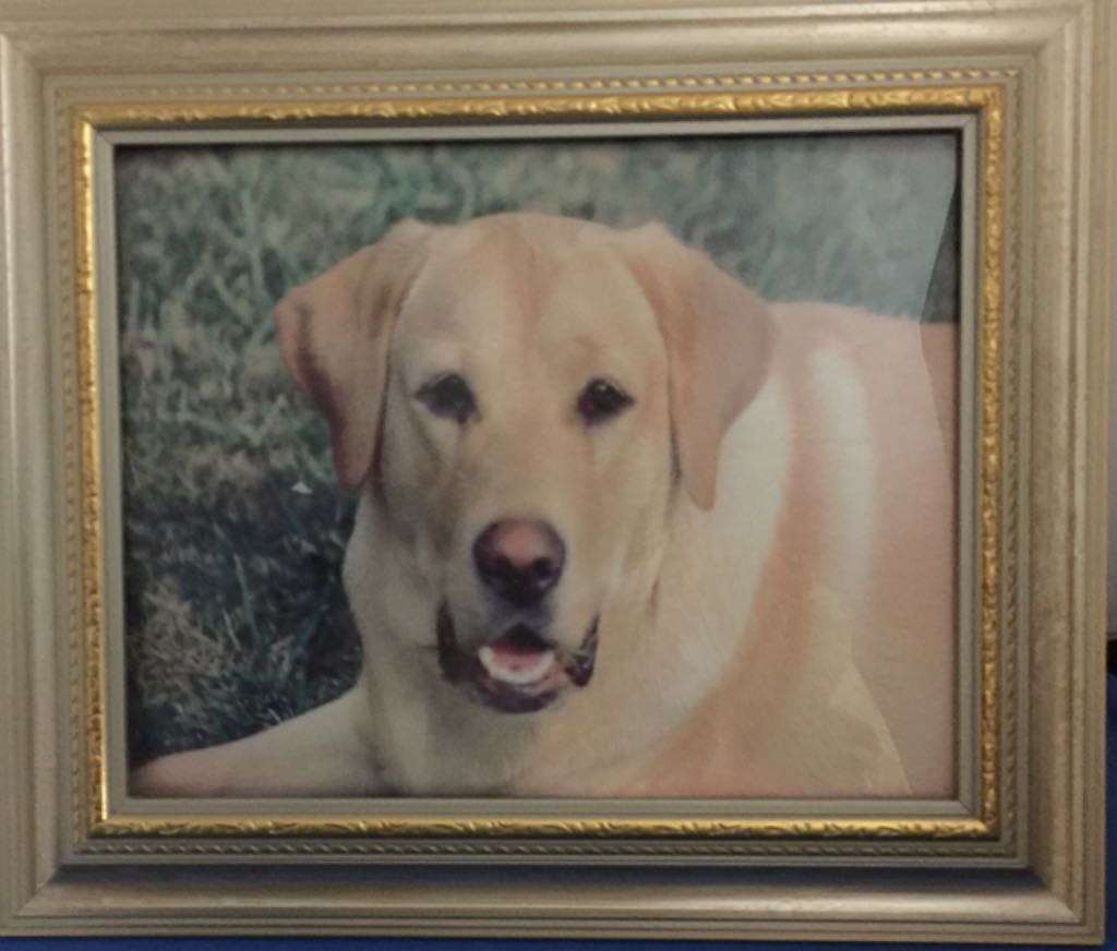 Superman Through The Ages 1941-2006