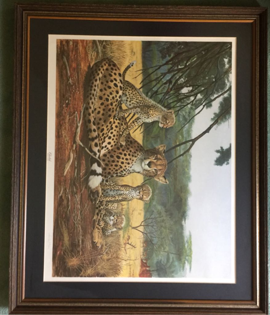 DC Comics - Coleção de Super-Heróis #46