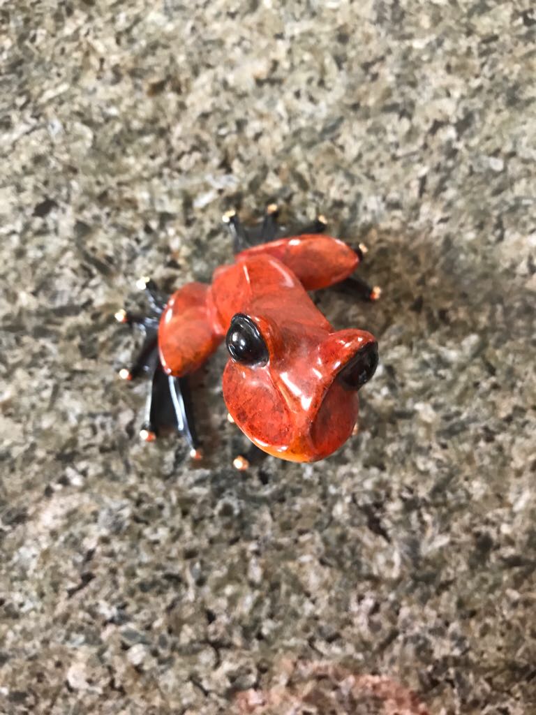 San Bernardino Stampede Hat