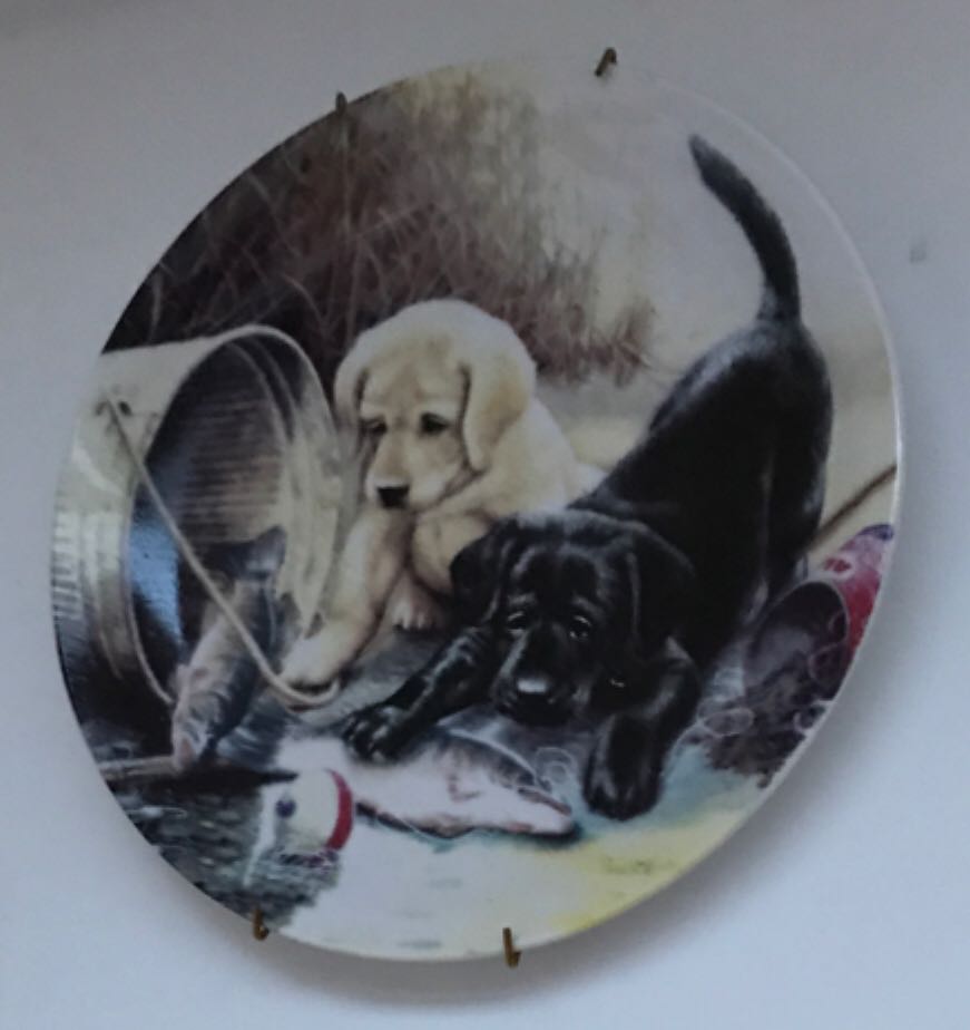 The Pamela Colman Smith RWS Tarot