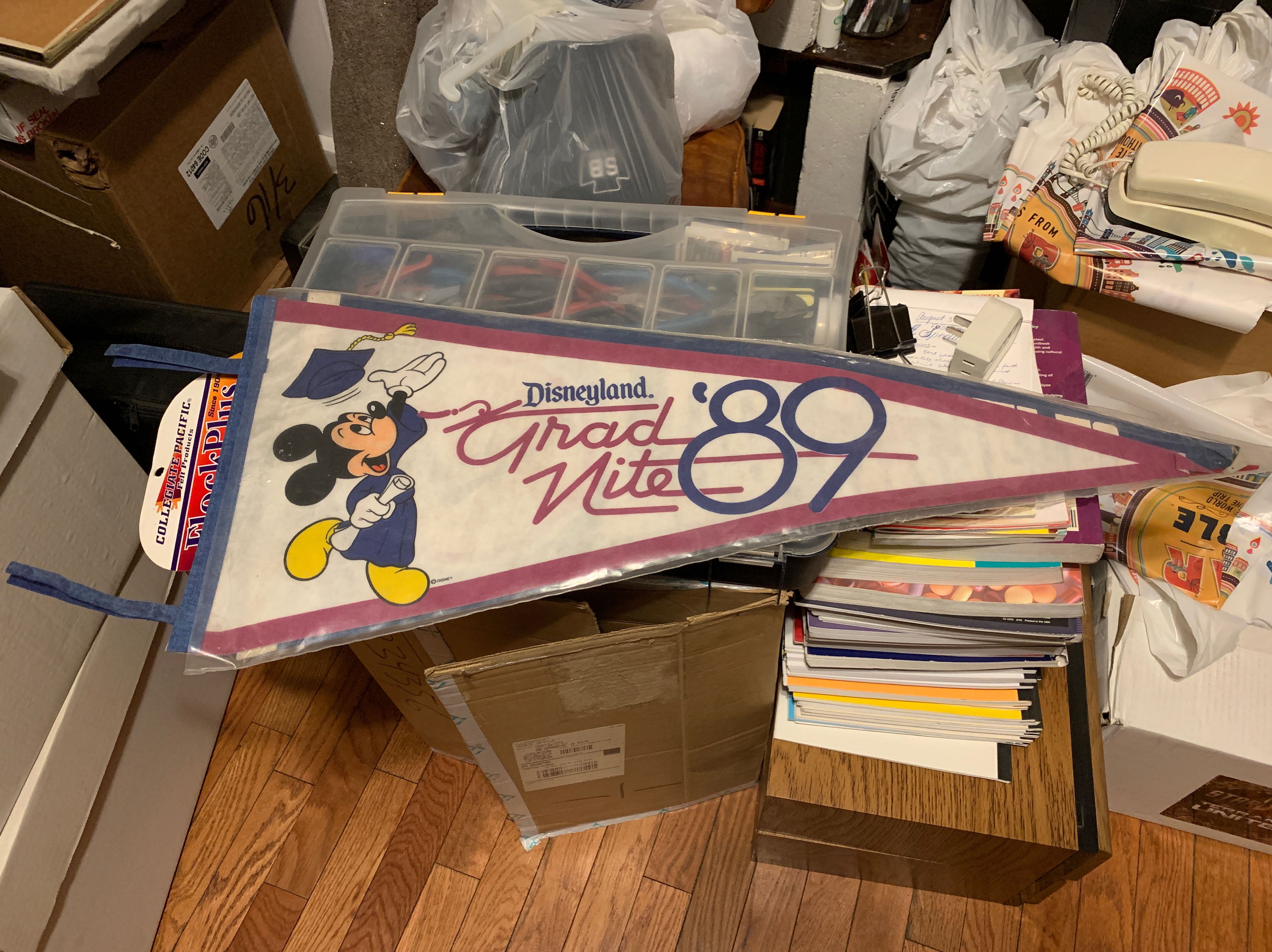 Disneyland Grad Nite 1989  art collectible - Main Image 1