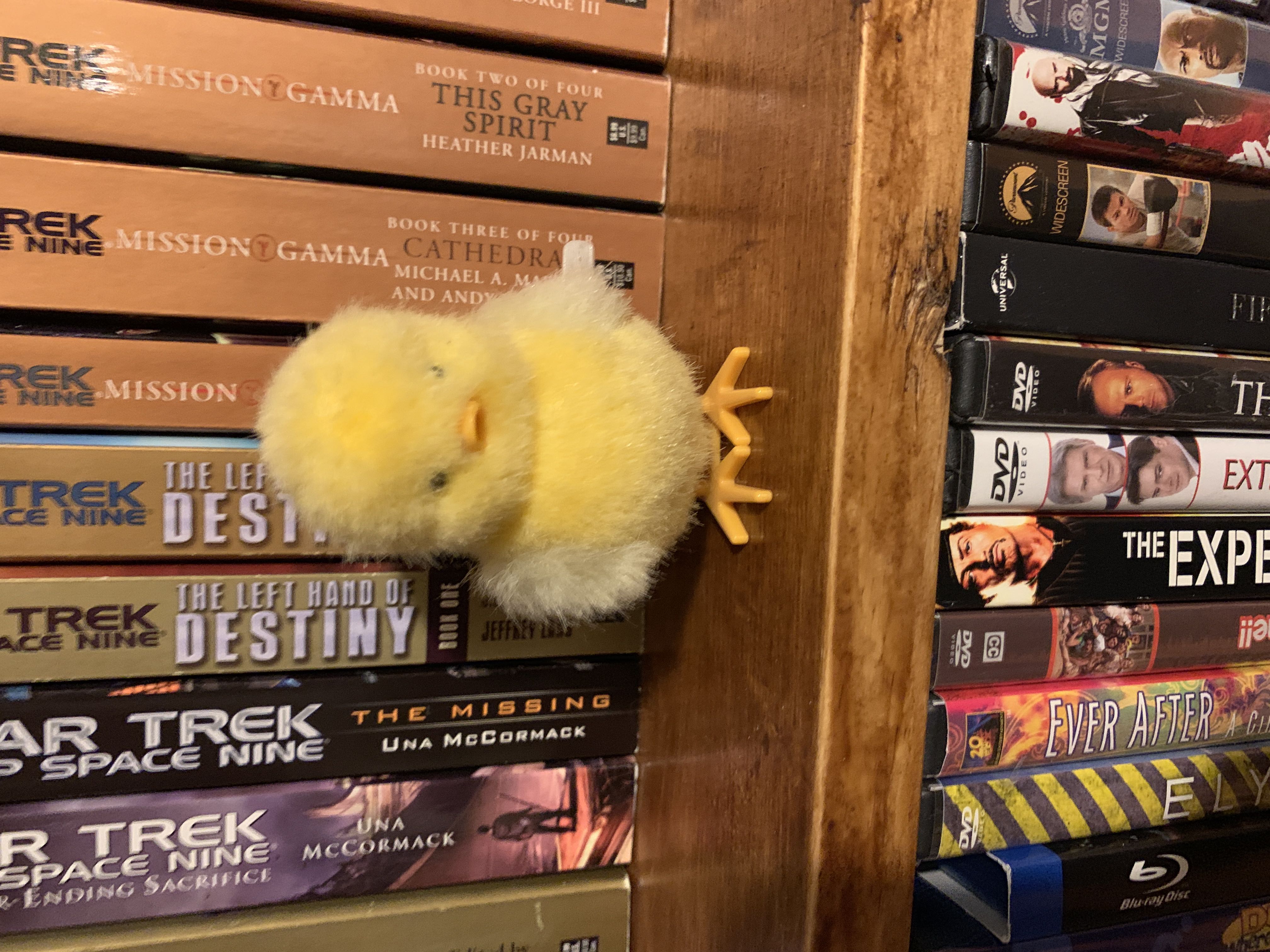 The San Diego Union- Tribune