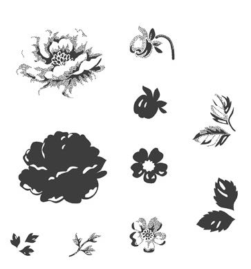 Image 15856