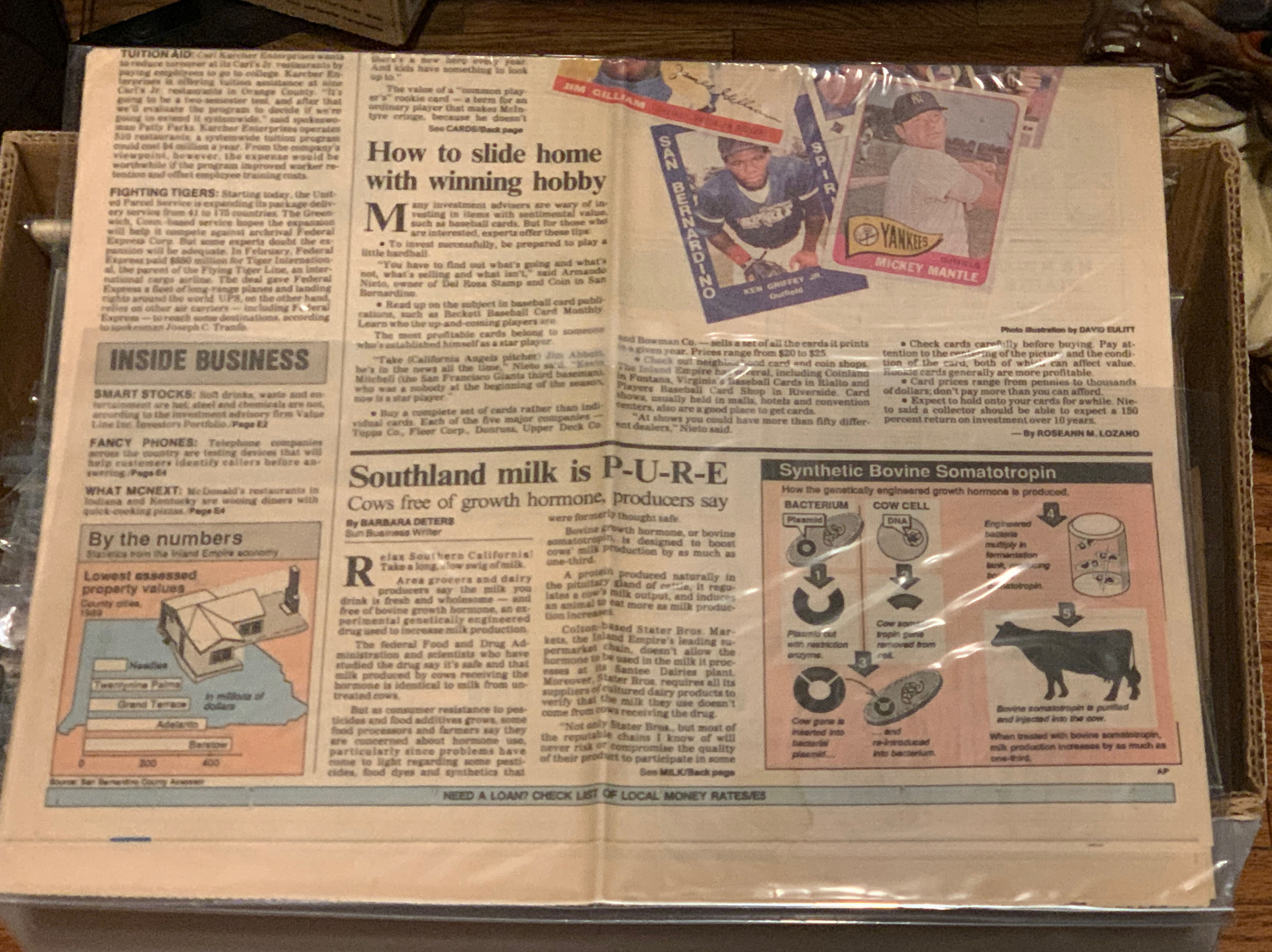 The Sun  art collectible - Main Image 2