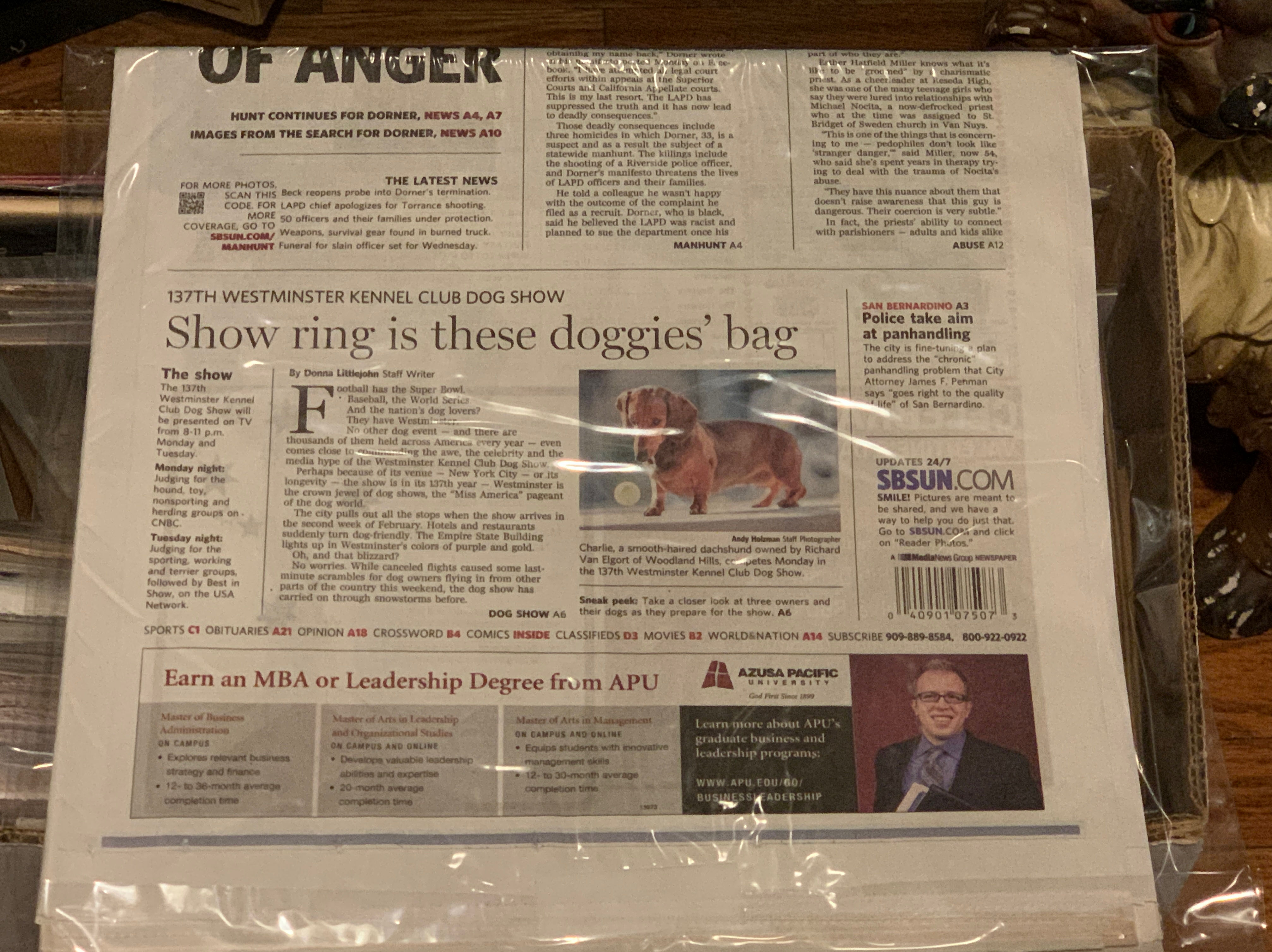 The Sun  art collectible - Main Image 2