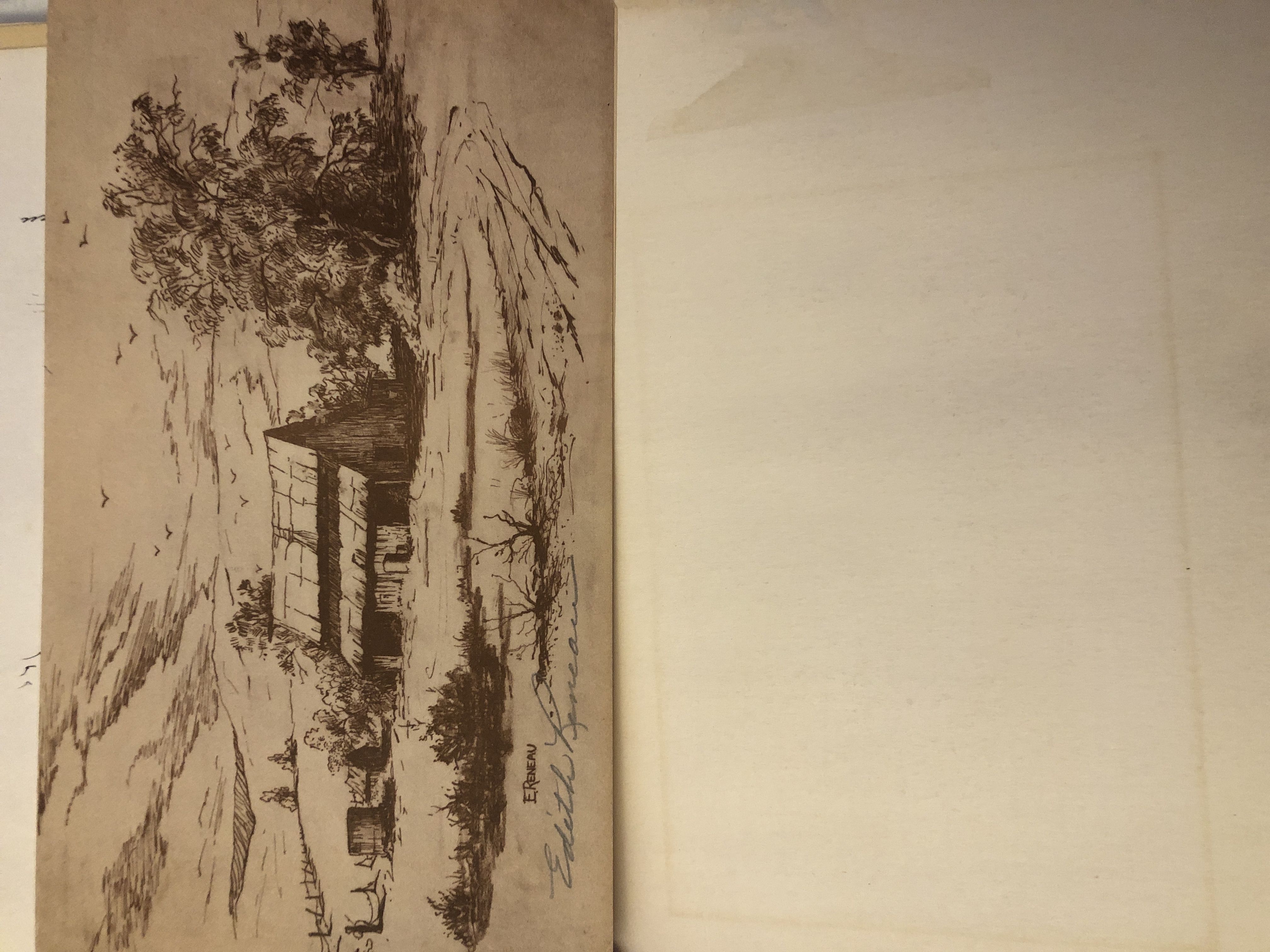 Edith Reneau - Edith Reneau art collectible - Main Image 2