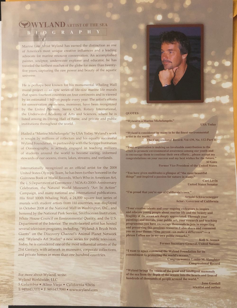 Mother And Calf Bronze - Wyland art collectible - Main Image 4