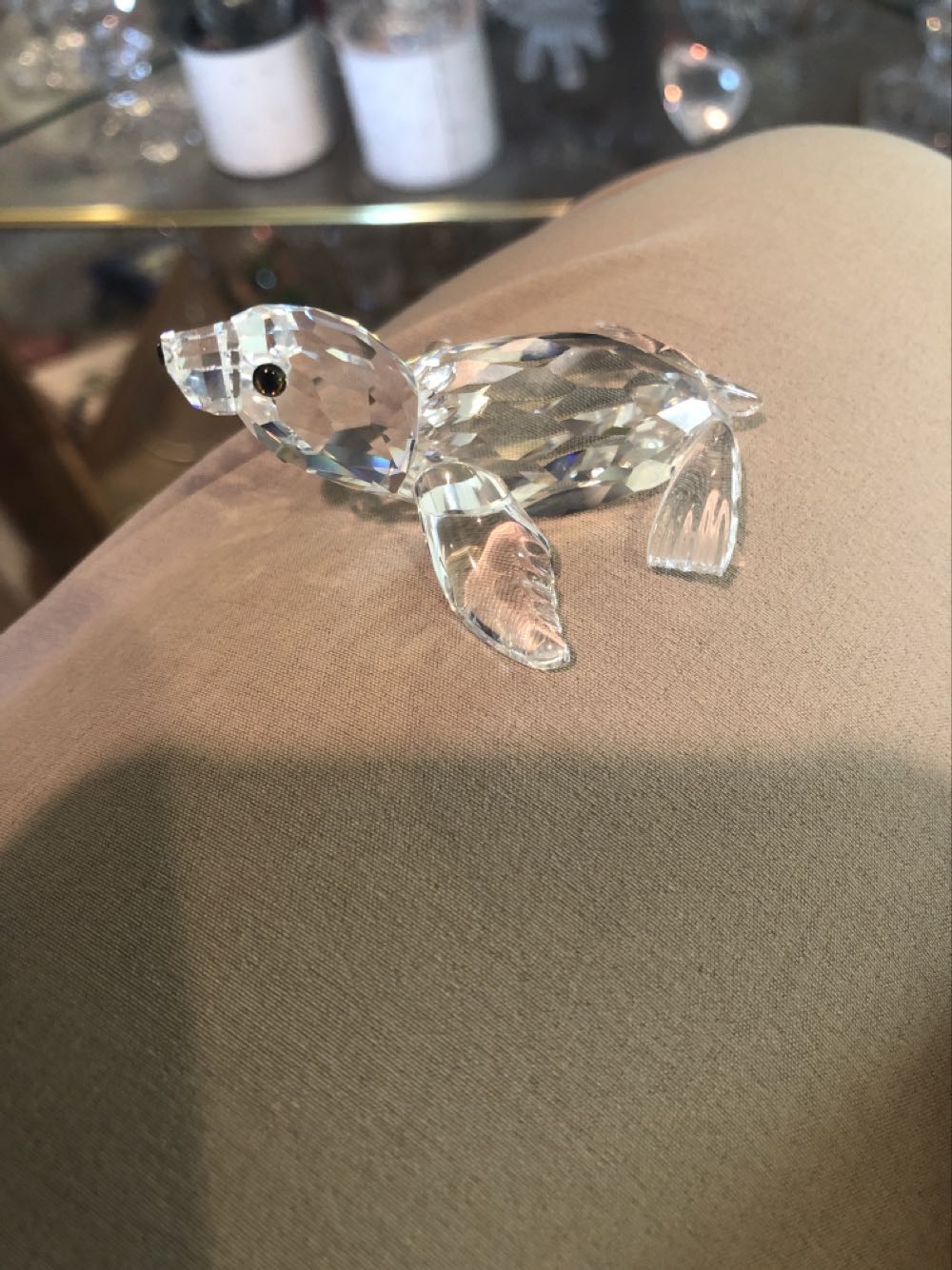 Light Seer’s Tarot