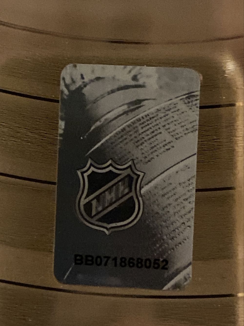 St Louis Blues 2019 Stanley Cup Champions Record  art collectible - Main Image 2