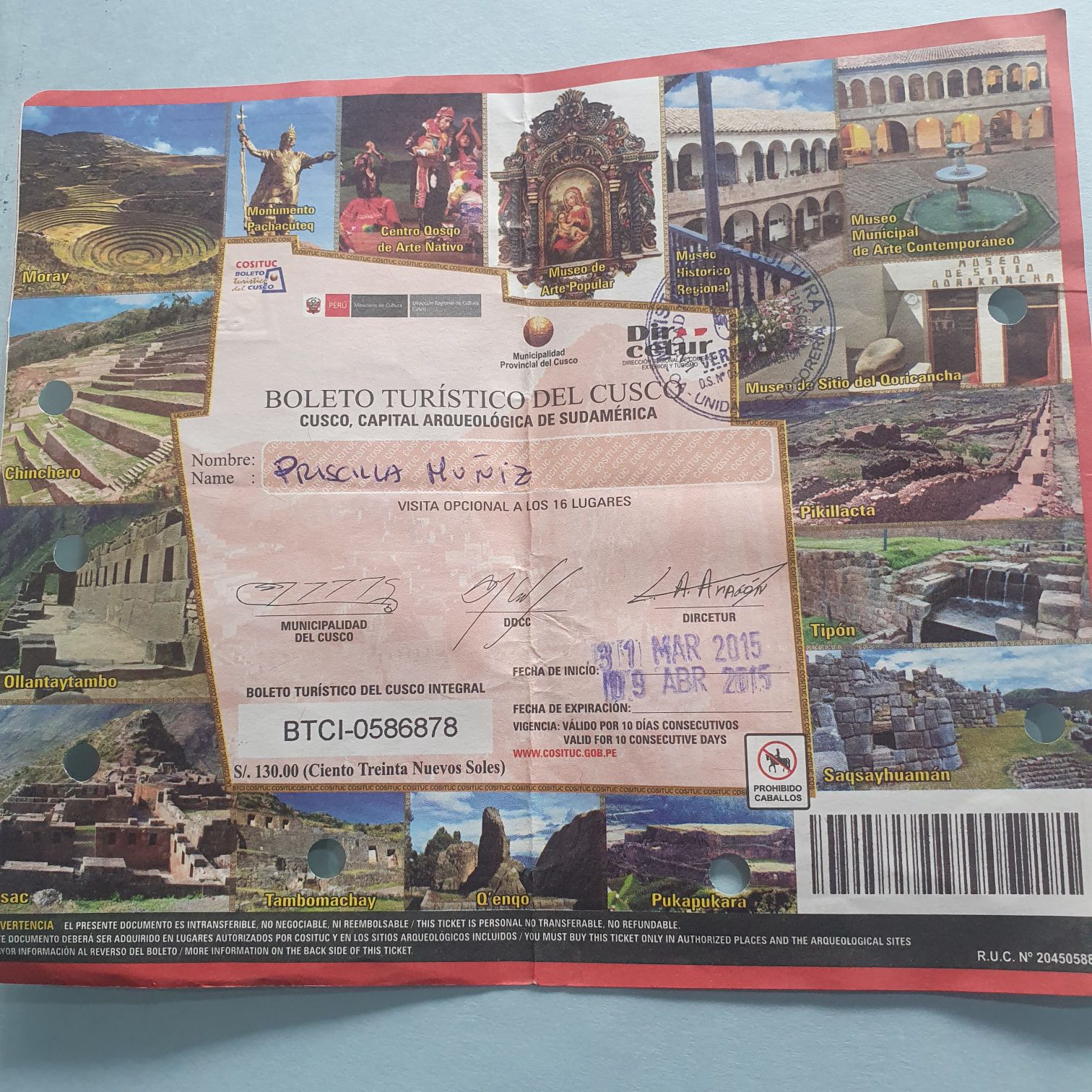 Insulated Coke Backpack