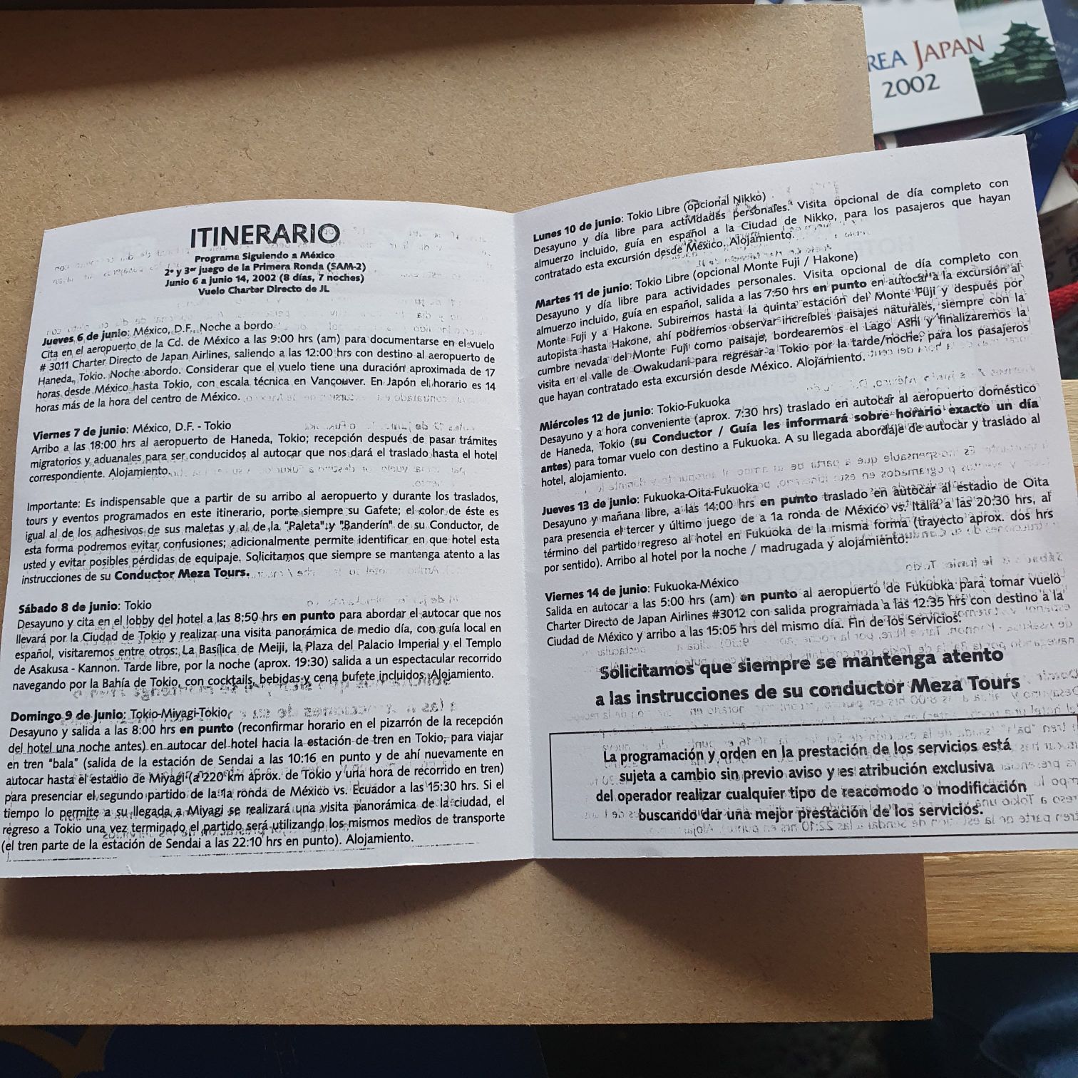 World Cup Korea Japan 2002 Gafete personal - World Cup Korea Japan art collectible - Main Image 2