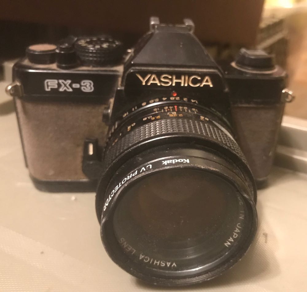 Revenge Of The Ewoks