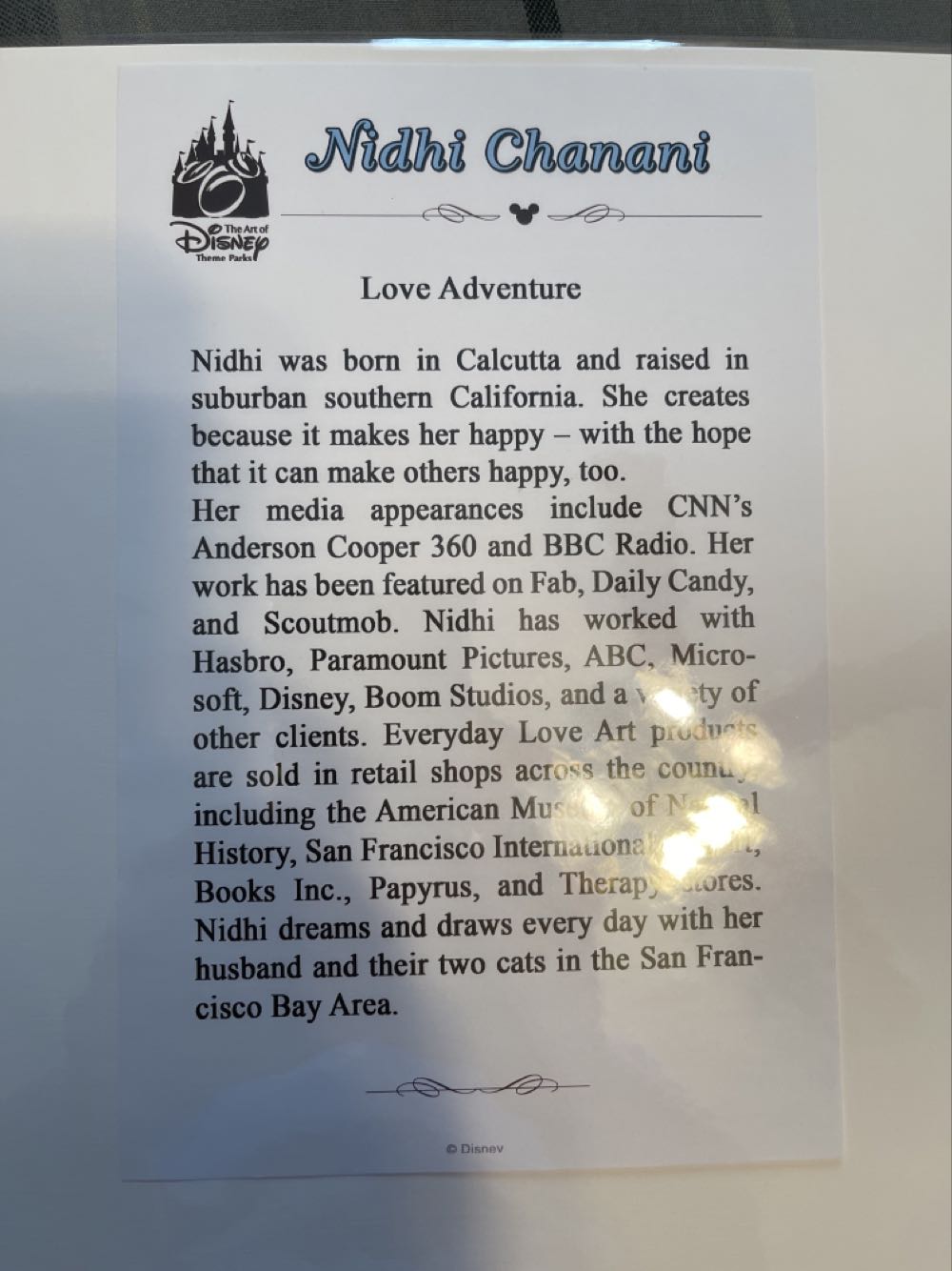 UP “Love Adventure” - Nidhi Chanani art collectible [Barcode 400020151131] - Main Image 2