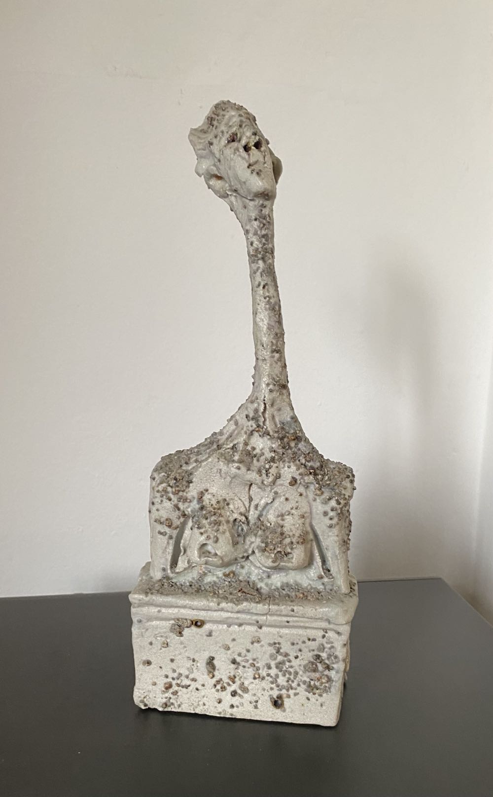 Plesiosaur (203,600,000-66,000,000 Years Old (LATE TRIASSIC THROUGH CRETACEOUS)