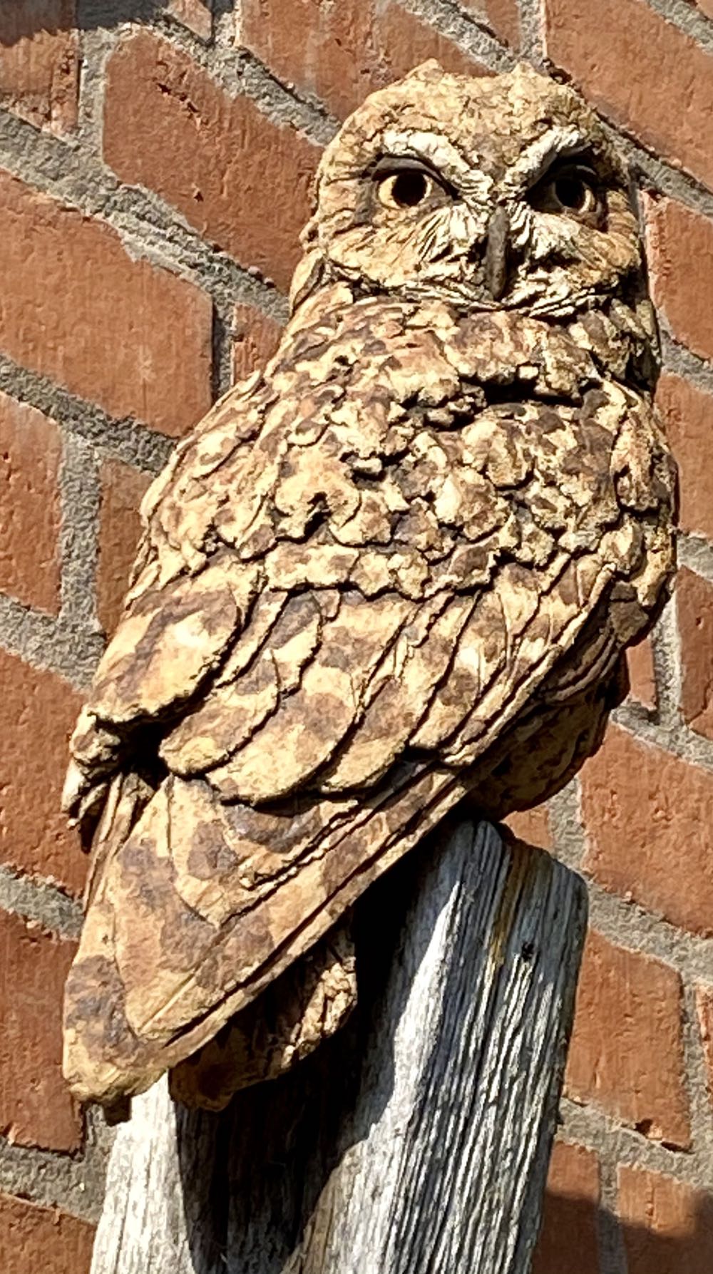 Stained Glass News Winning Designs