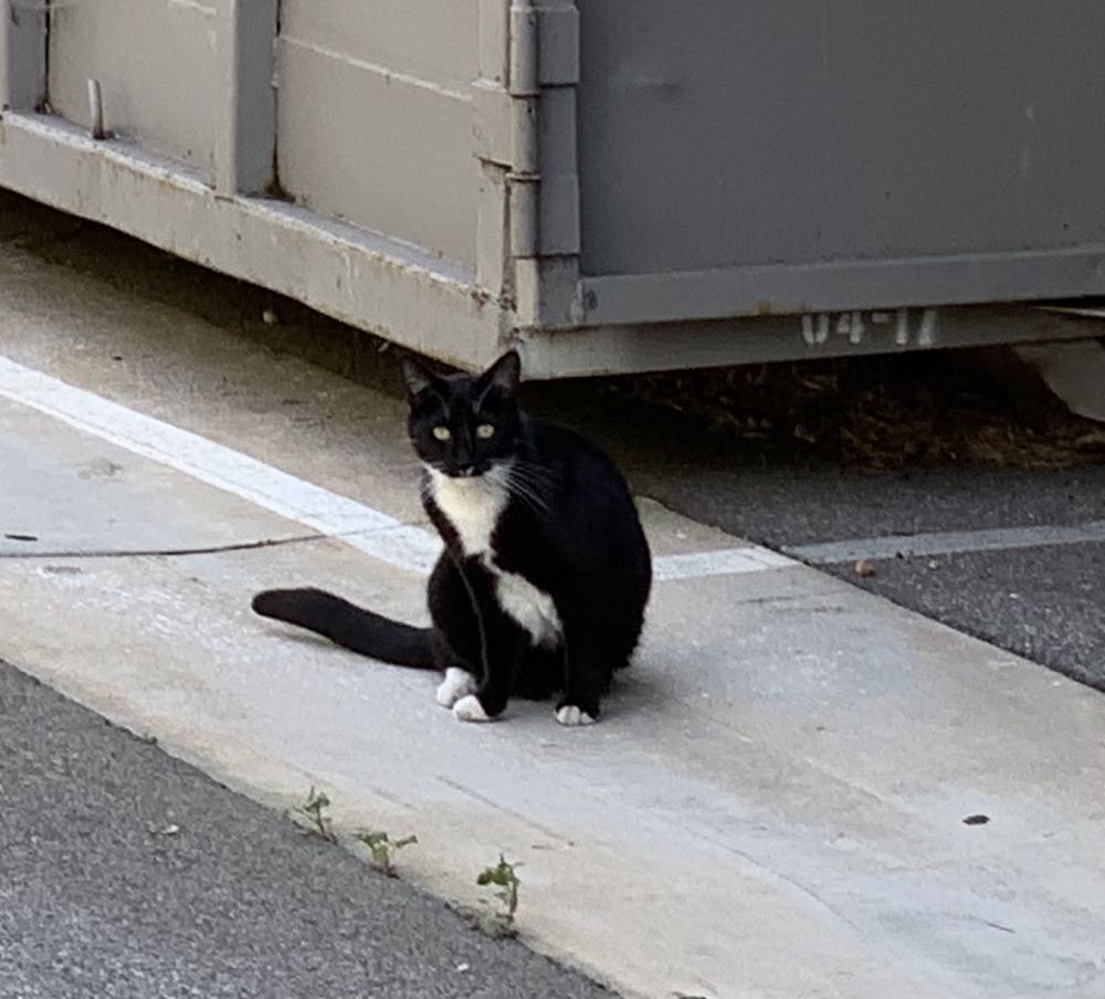 J - Hko art collectible - Main Image 3