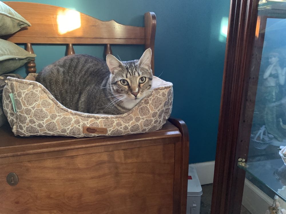 J - Hko art collectible - Main Image 4