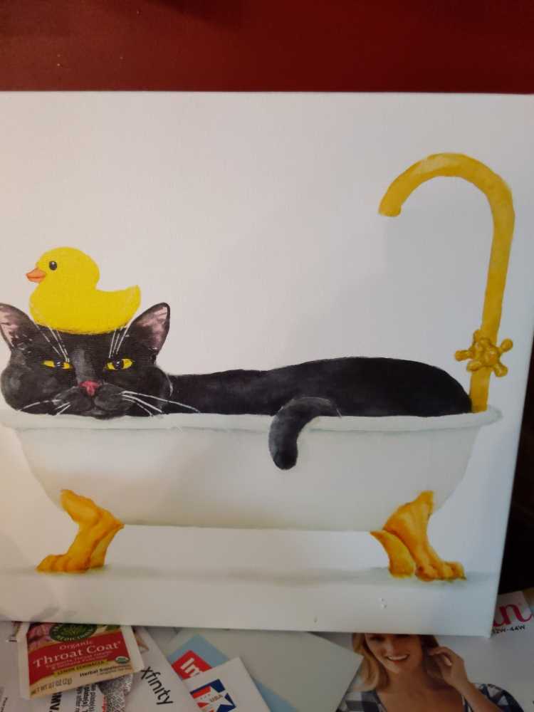 Halloween Spiders Web