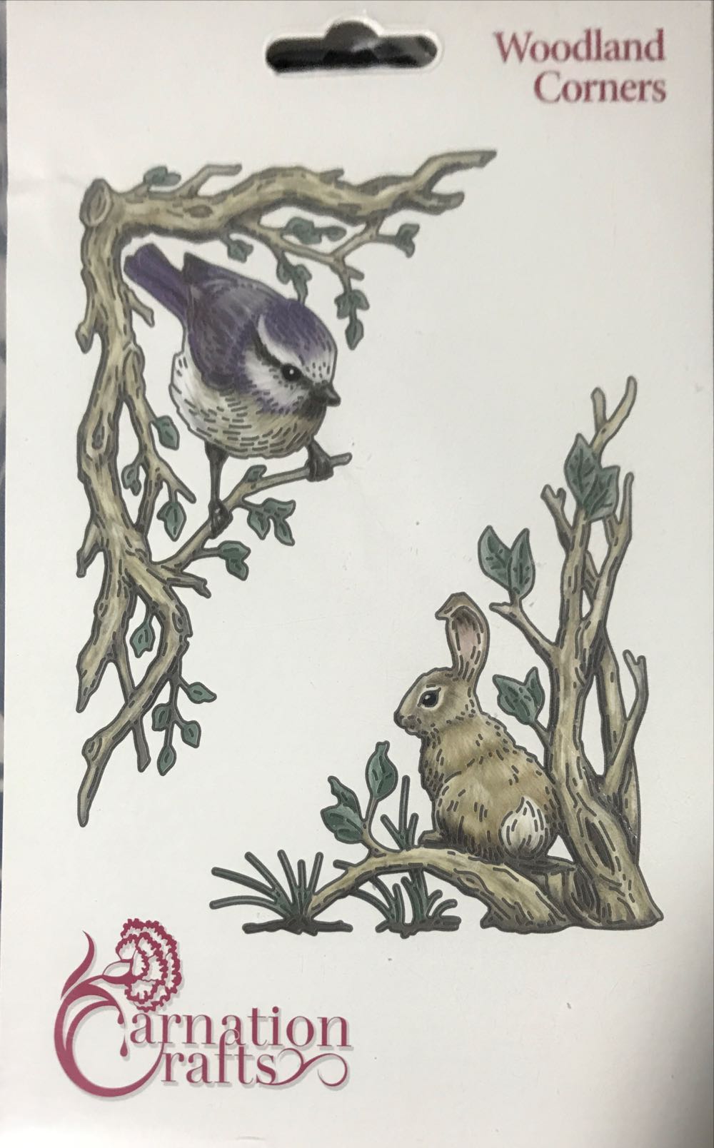 Albuquerque International Balloon Fiesta