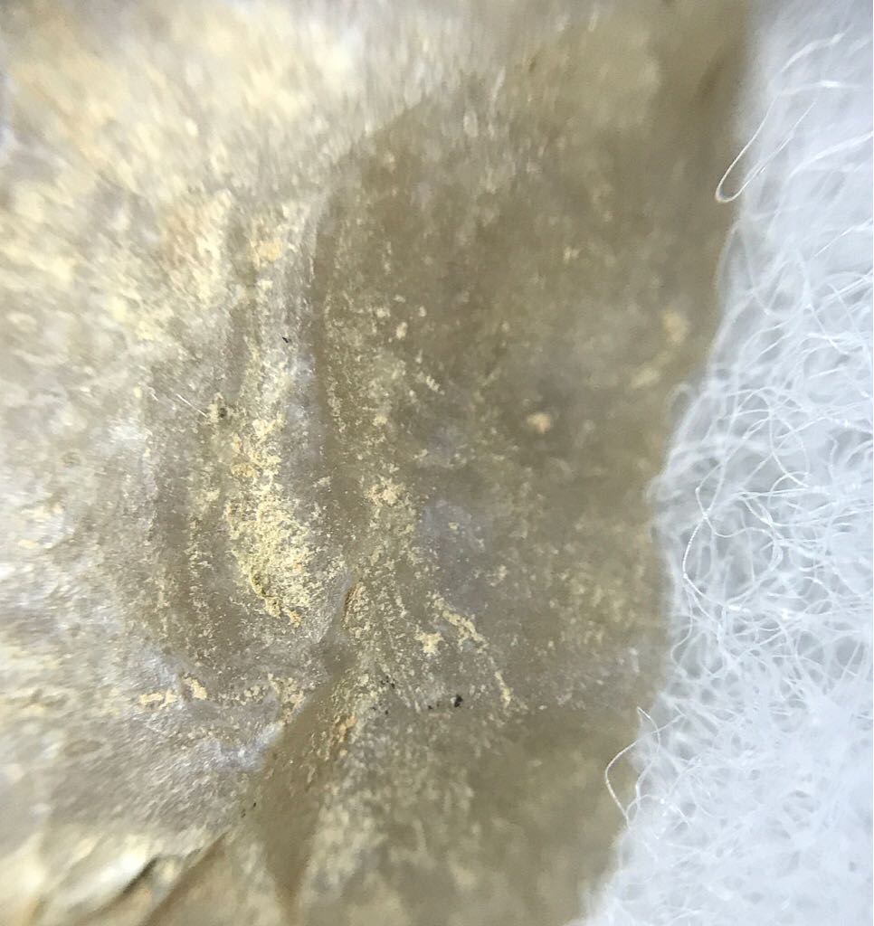 Neolithic Hand Axe (30,000 Years) - Human Artifact art collectible - Main Image 2