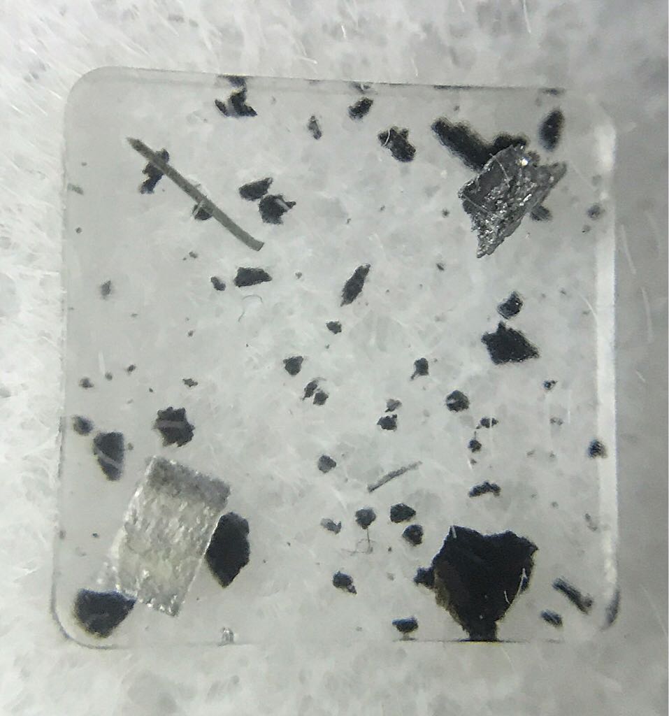 Dawson’s Creek - Joey Potter’s Teddy Bear