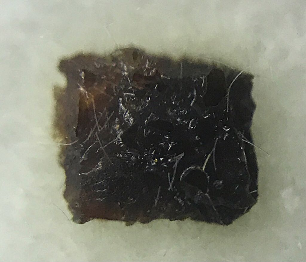 Fantastic Beasts Cast Signed SDCC