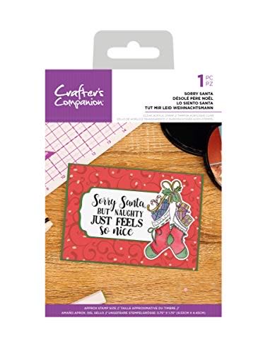 Teddy Loves A Special Gift