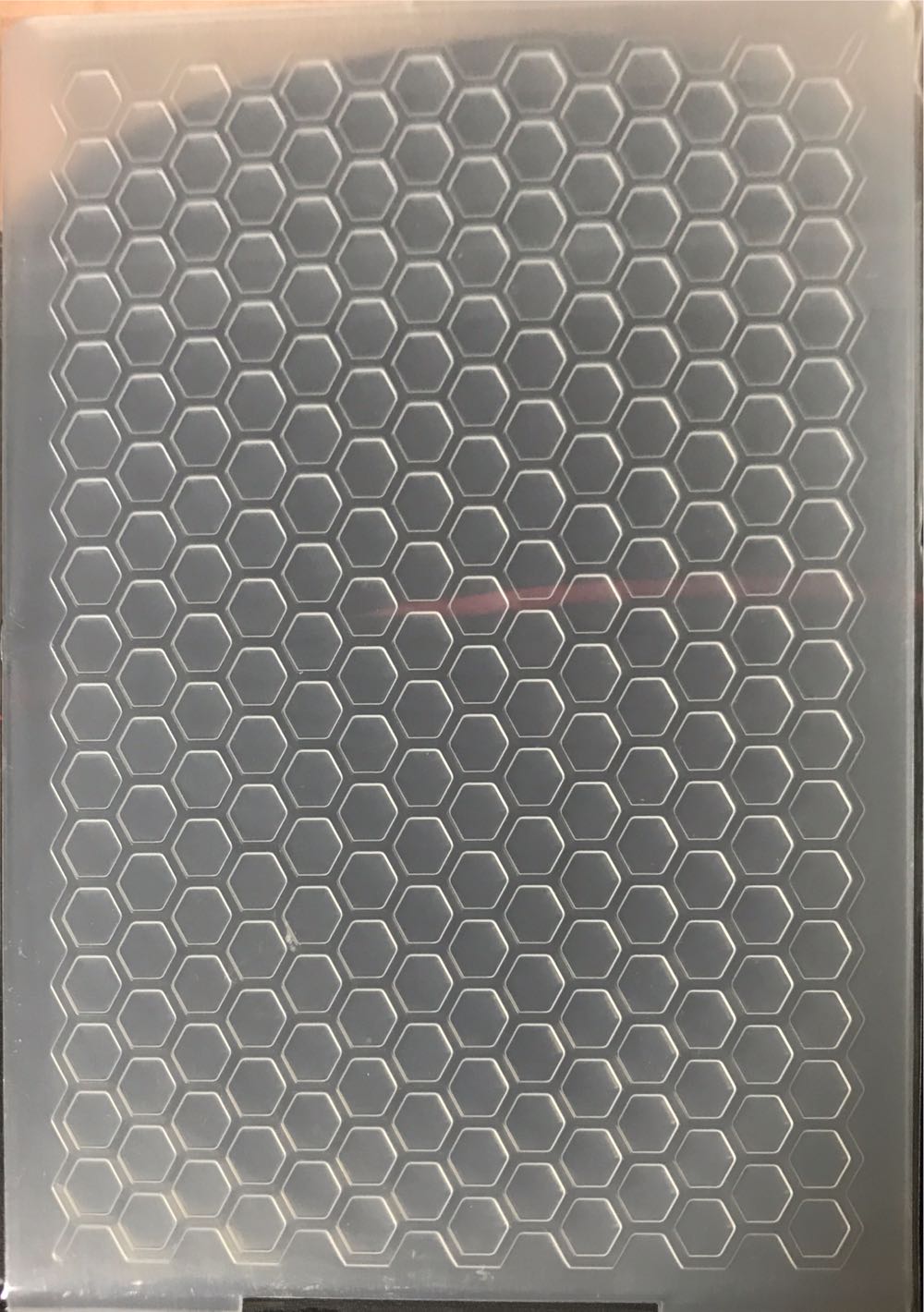 Spinosaurus - Spine (112,000,000 Years Old)