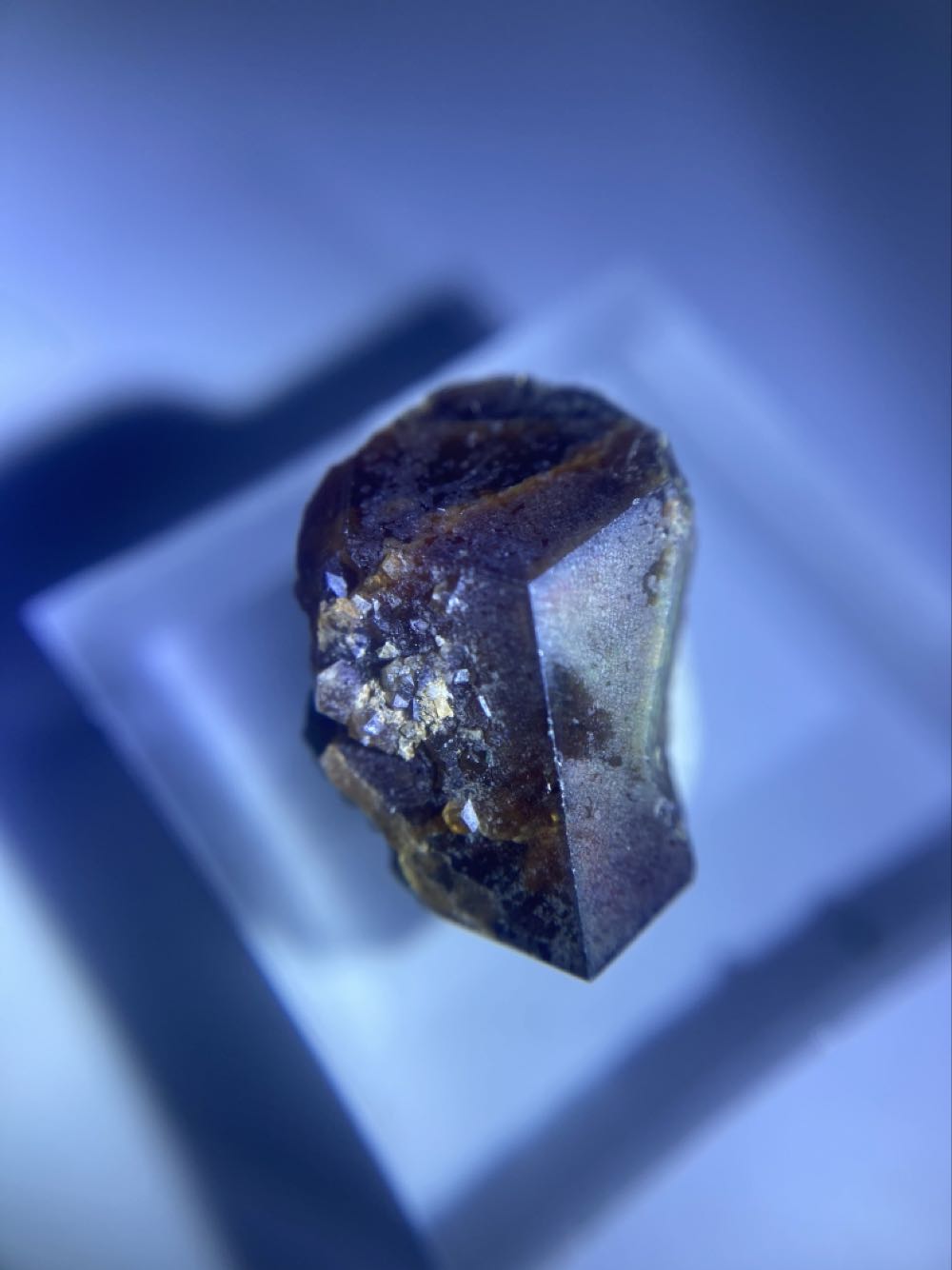 Girls’ Last Tour Vol. 2 Girls’ Last Tour 2