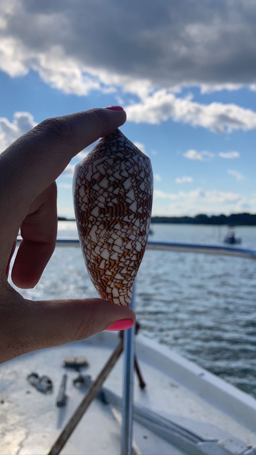 Cricut George Cartridge