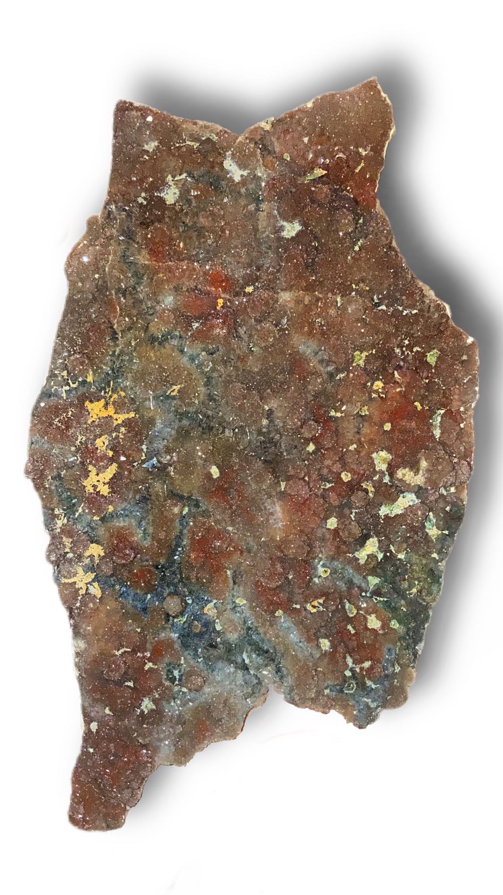 Breaking Bad - RJ Mitte