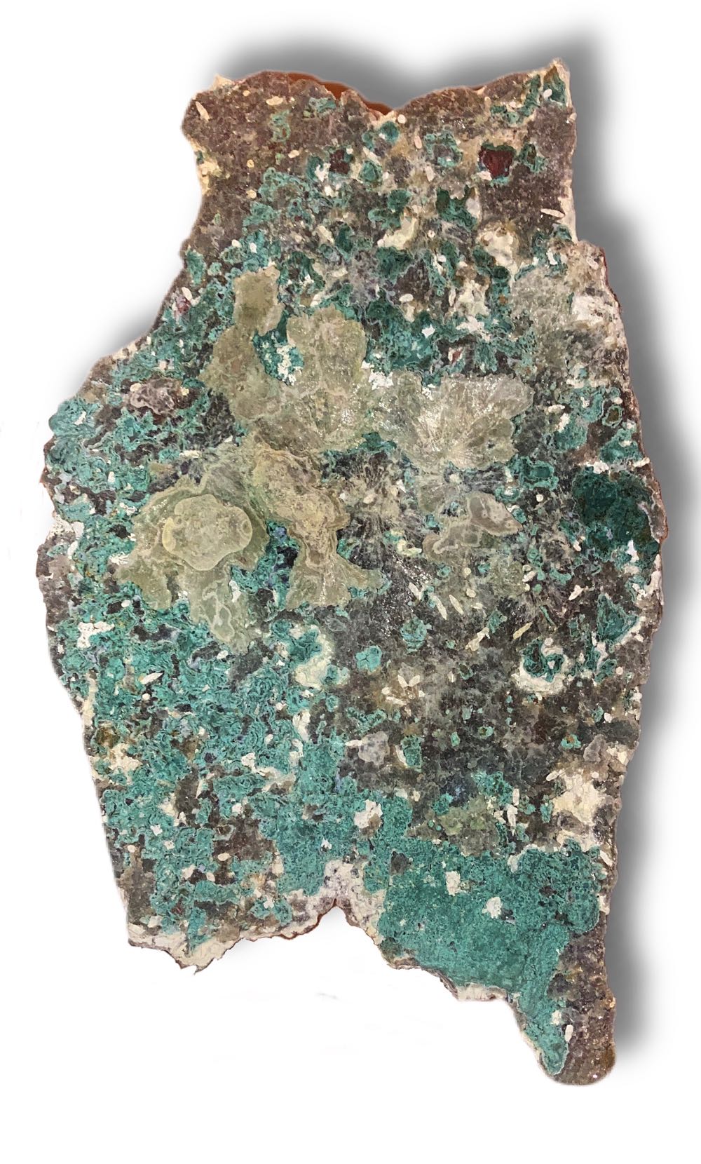 Rainforest Jasper - Iris art collectible - Main Image 2