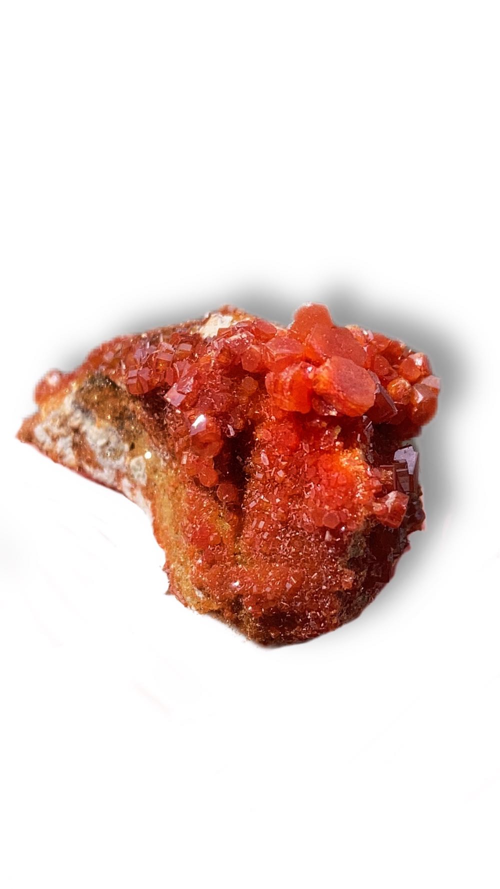 Copic Markers Bg75-sketch Abyss Green