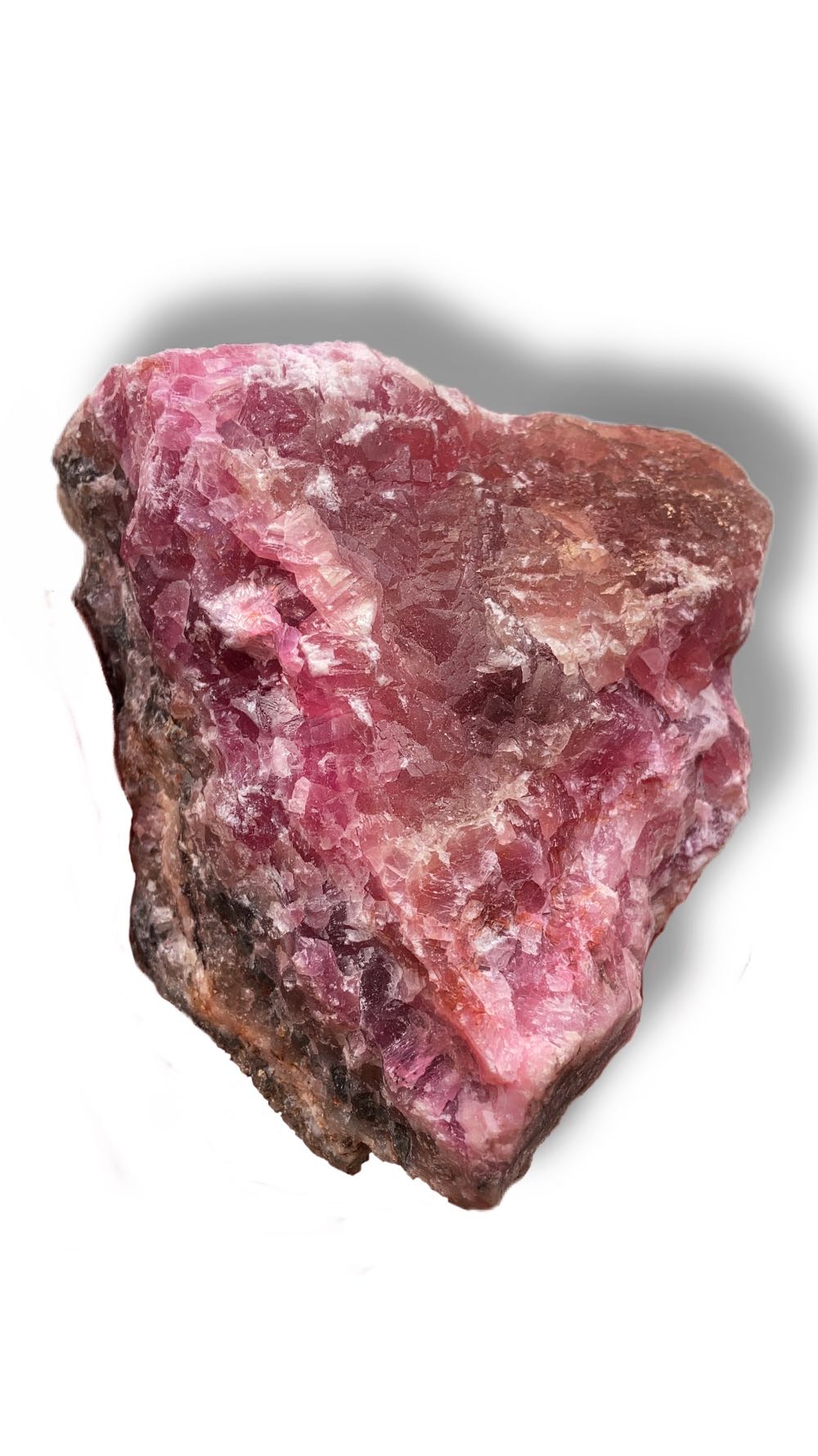 Disney Main Street USA 50th Anniversary Walt Disney World