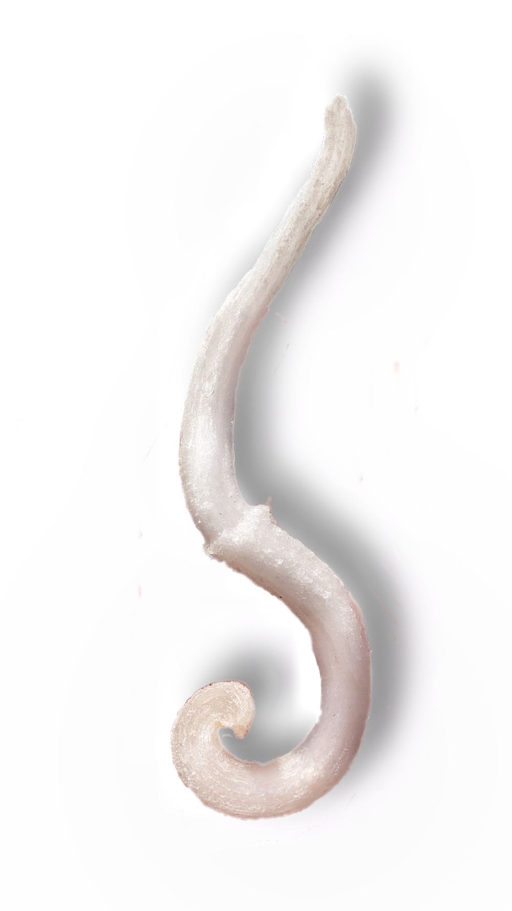 Hahnemuhle Zigzag Accordion Watercolor Book 2x2 Inches 300gsm 18 Pages