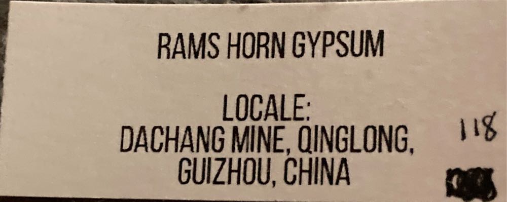 Ram’s Horn Selenite - The Traveling Gems art collectible - Main Image 2