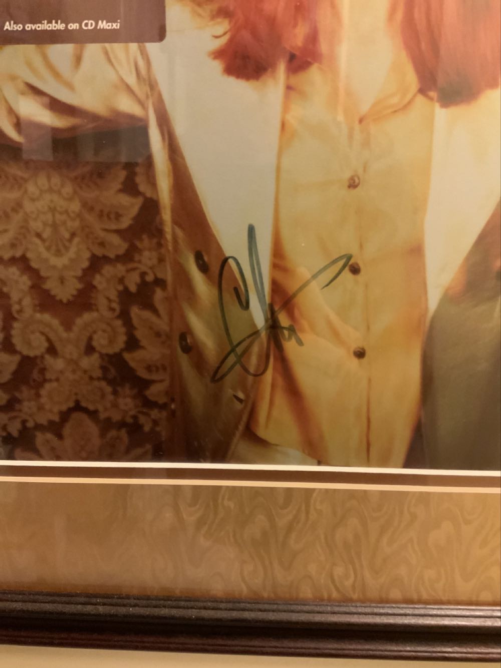 Cher Strong Enough Album Cover  art collectible - Main Image 2